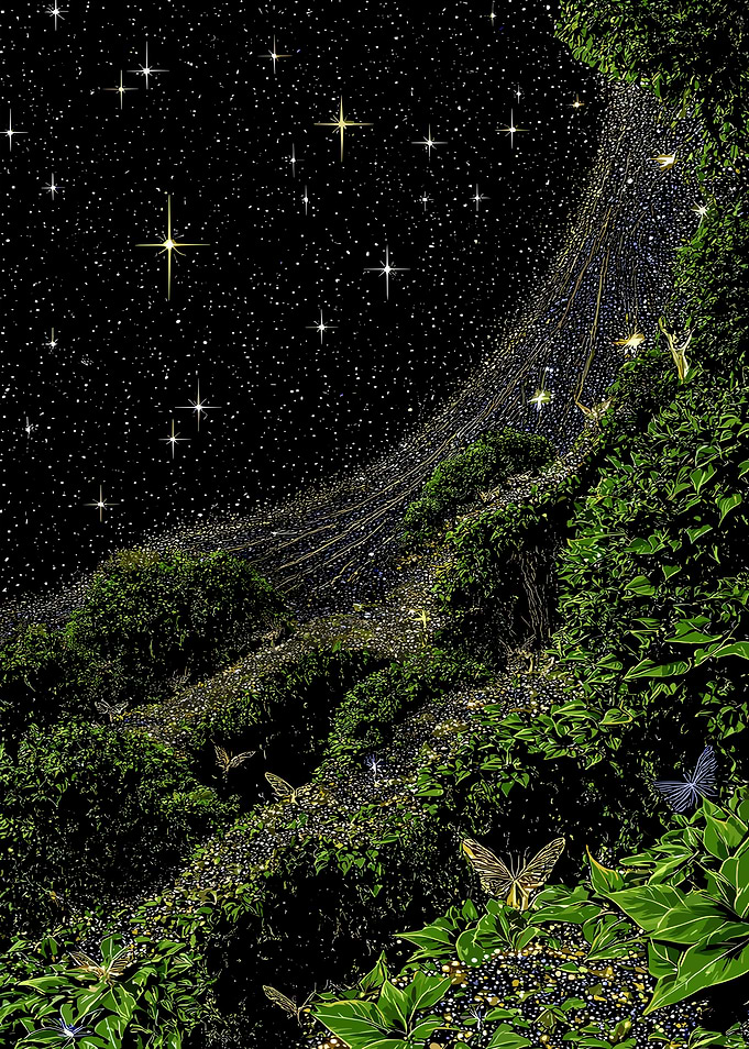 Enchanted Forest Night Sky