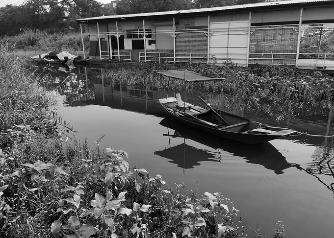 Black and White River Scene