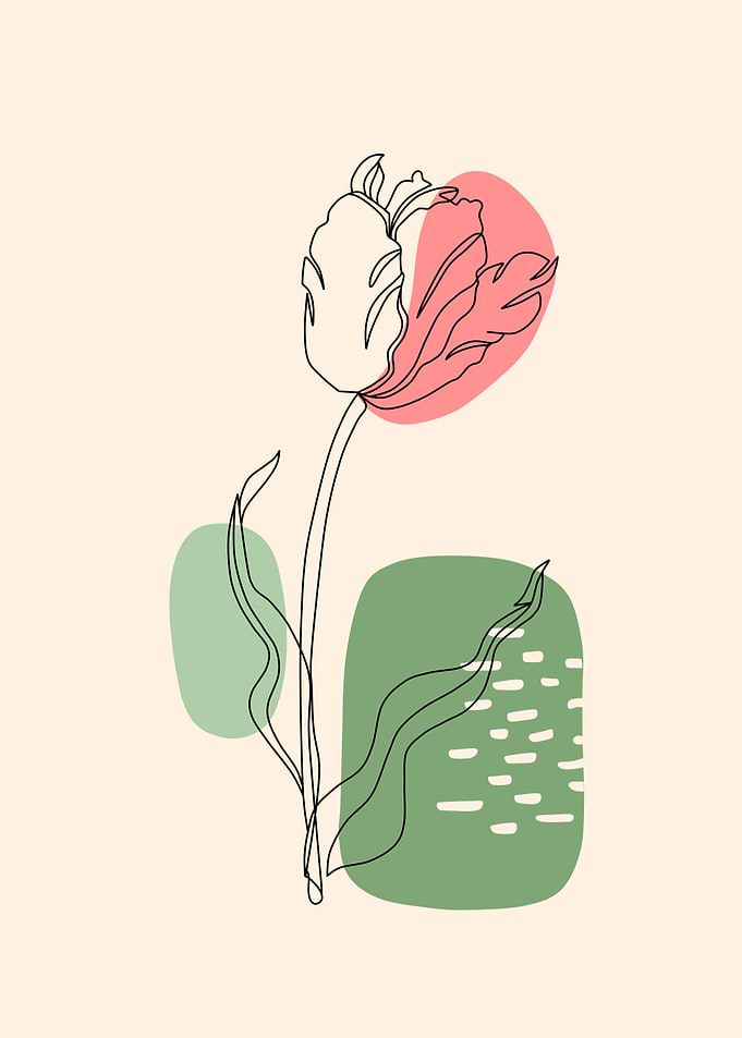 Minimalist Tulip Line Art