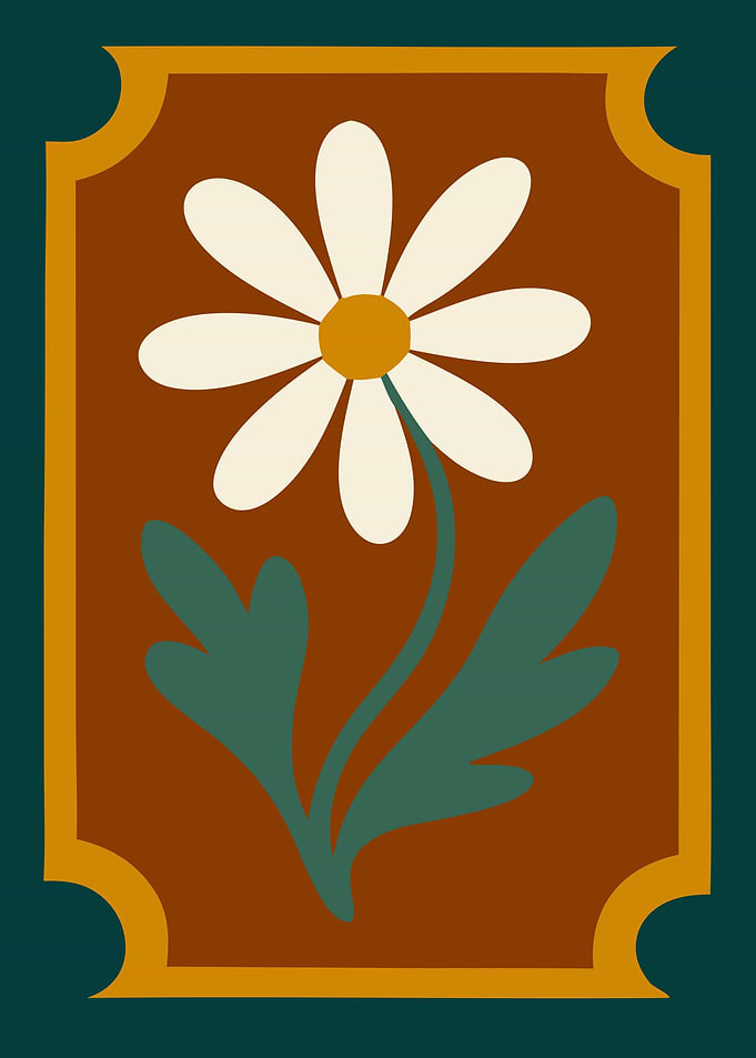 Daisy Flower Illustration