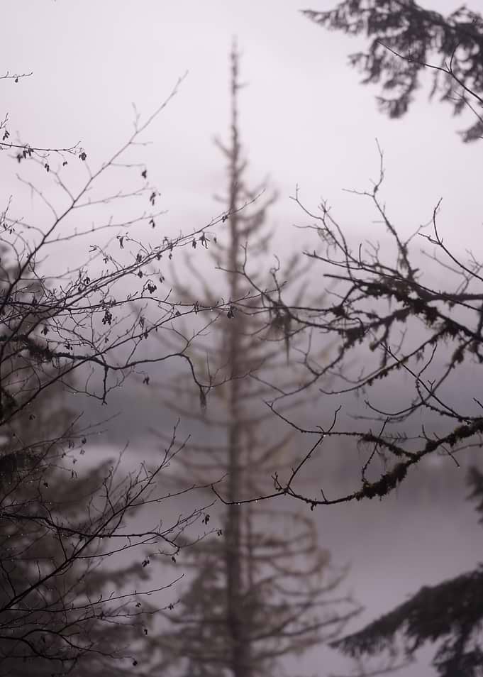 Dark Cascades
