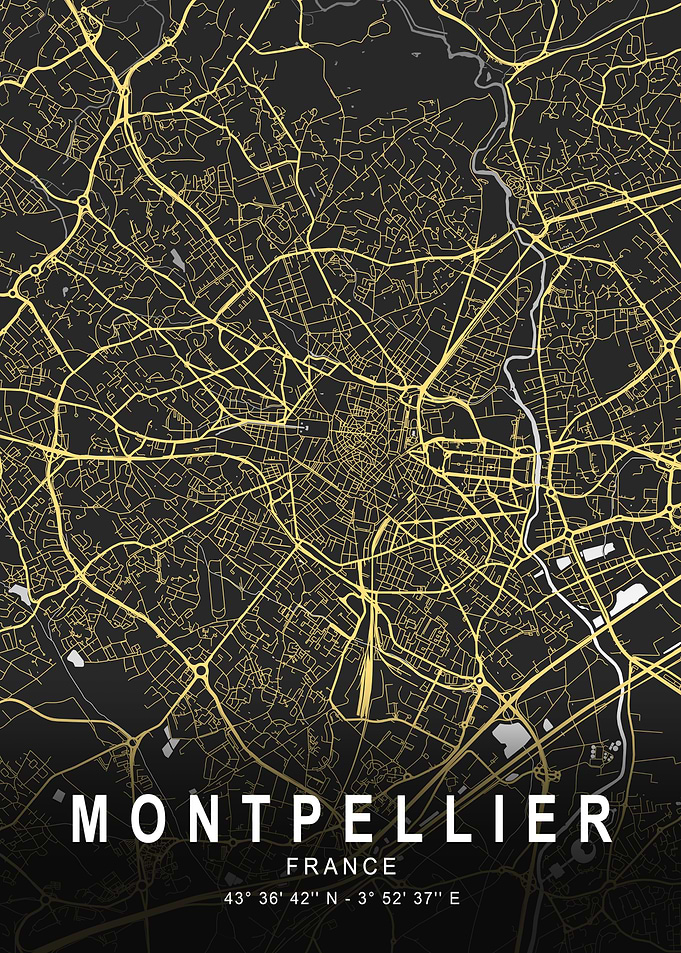 Montpellier Silver City Map