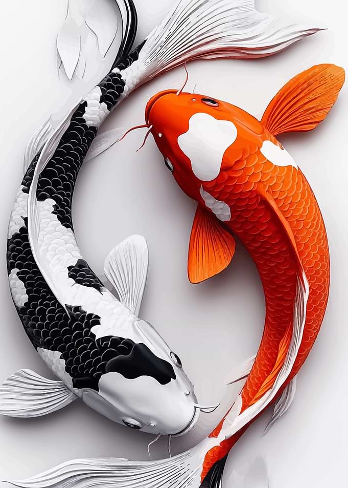 Yin Yang Koi Fish