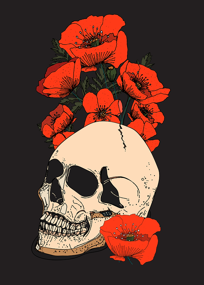 Skull with Poppies Illustration