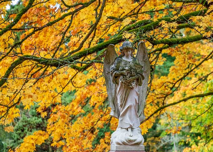 Angel statue with autumn leaves backdrop