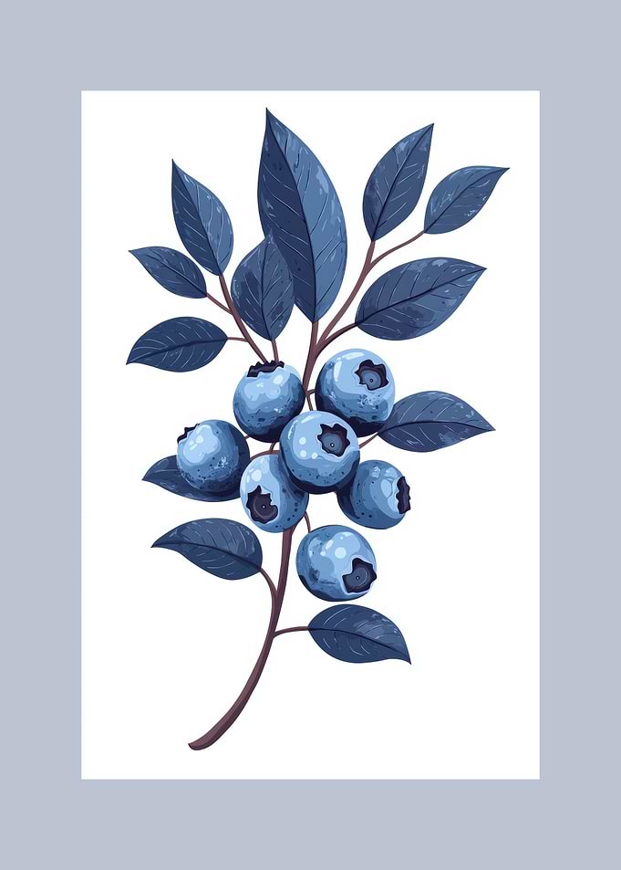 Blueberry Branch Illustration | Contemporary Botanical Art