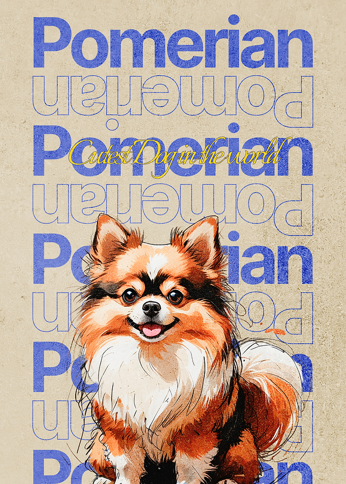 Pomeranian Dog Poster