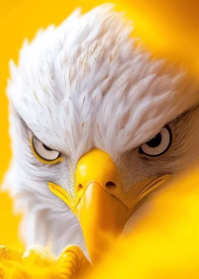 Eagle Portrait on Yellow Background