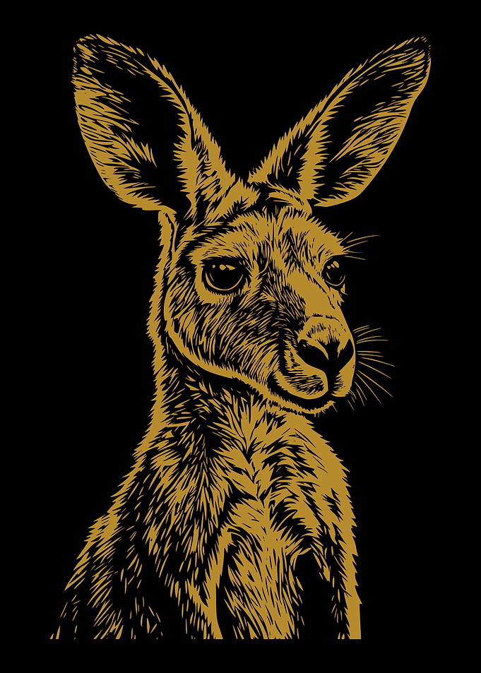 Kangaroo Portrait in Gold on Black
