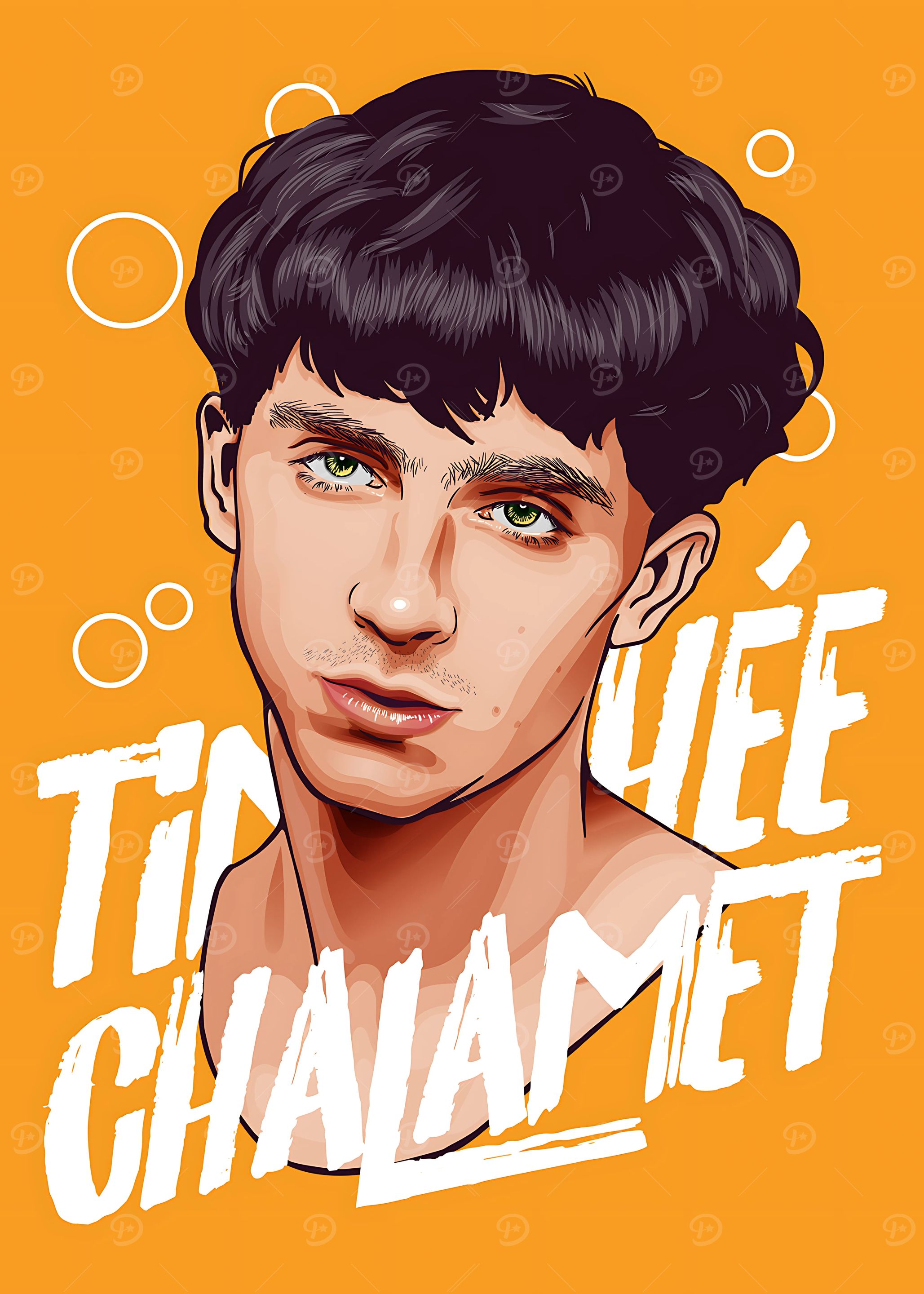 Timothée Chalamet Portrait Illustration