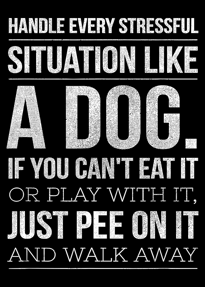Handle Stress Like a Dog Text