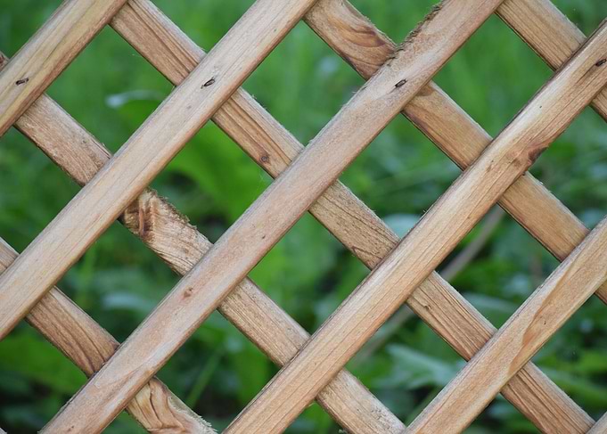 Wooden Lattice Against Green Background