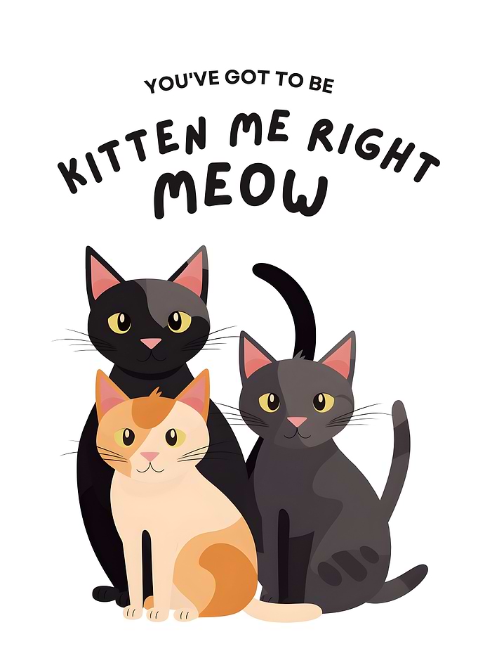 Kitten Me Right Meow Cats