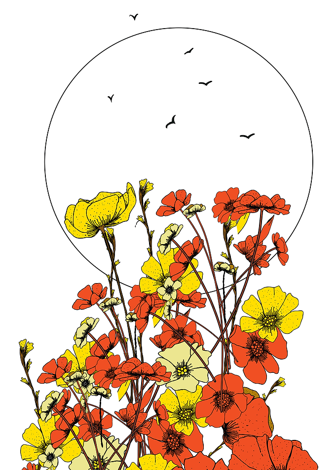Floral Illustration with Birds and Circle