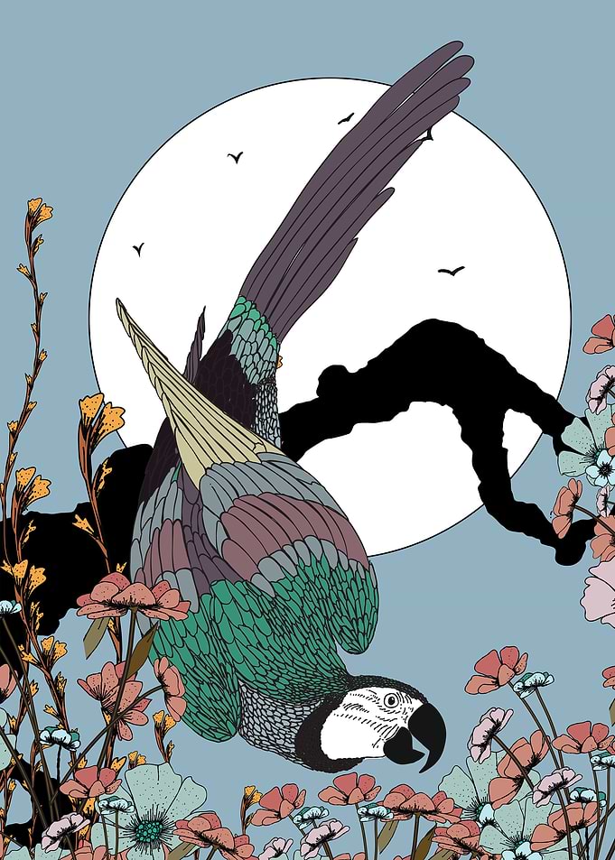 Parrot in Floral Setting Illustration