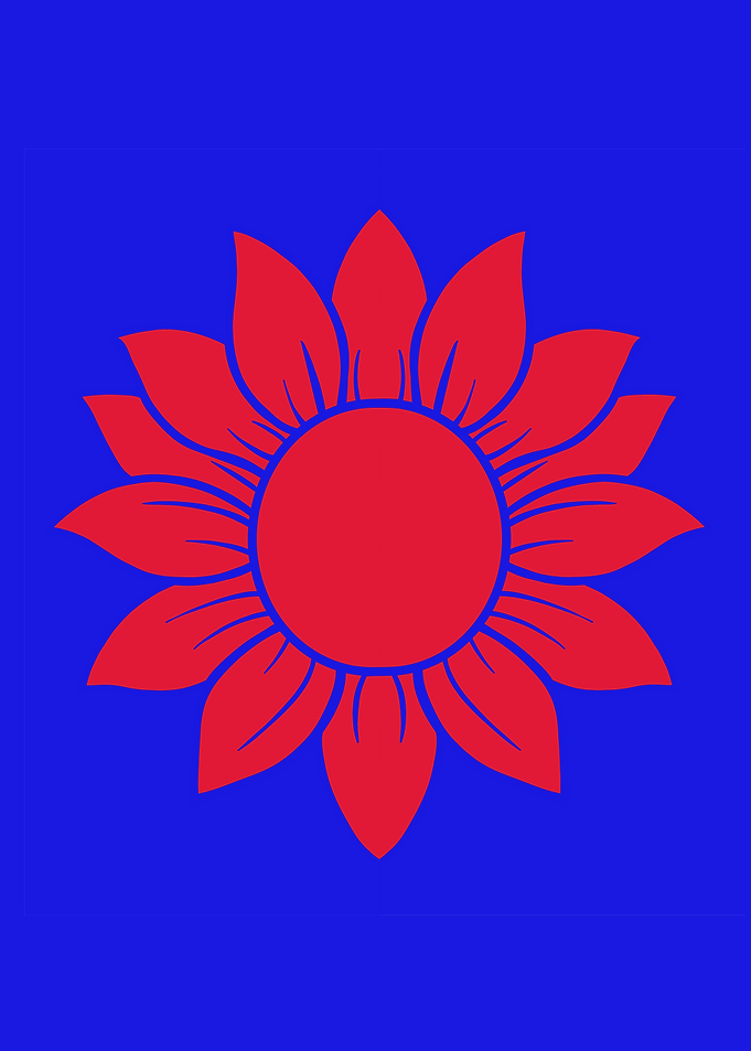 Solar Bloom – Bold Floral Geometry