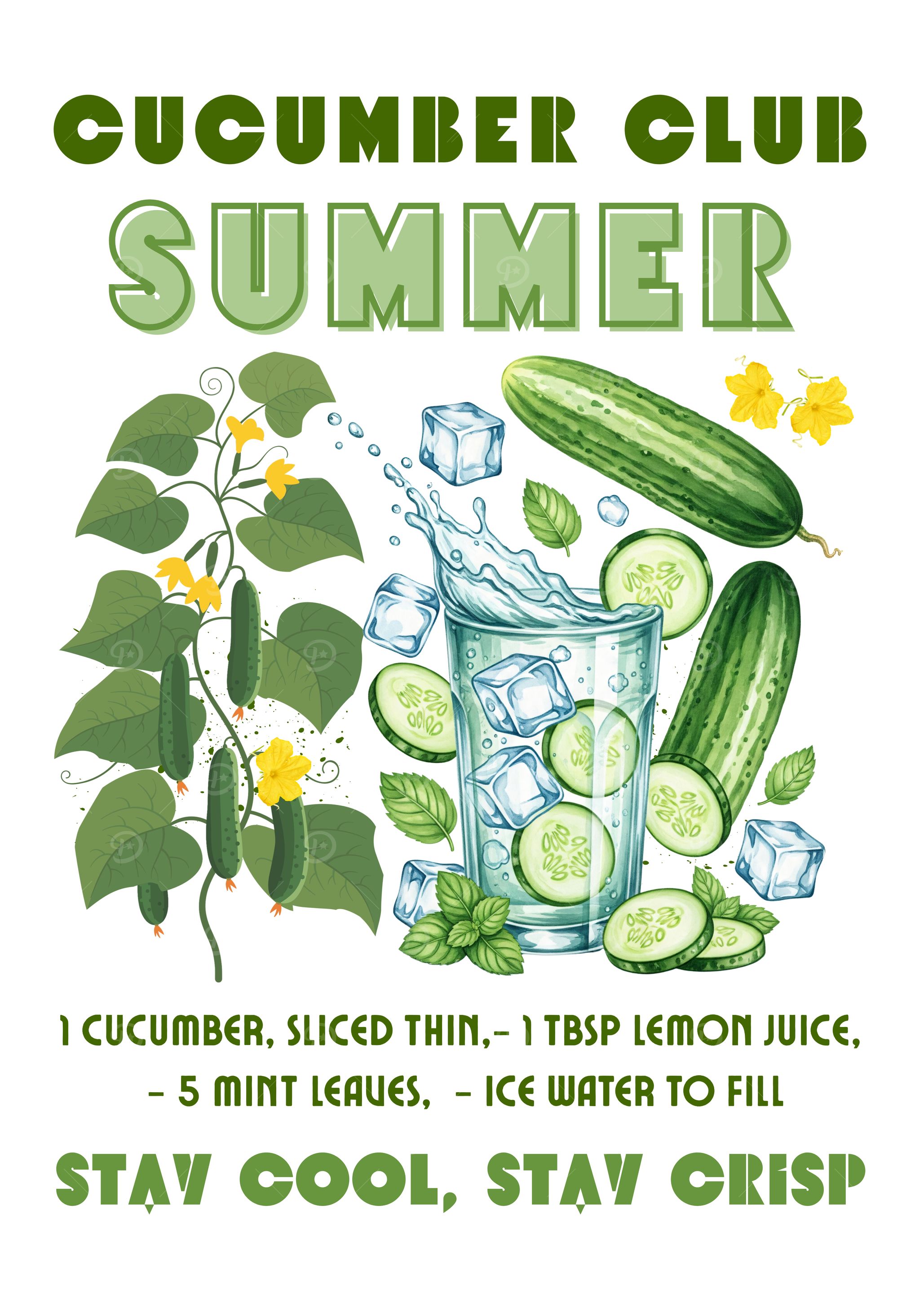 Cucumber Club Summer Drink Illustration