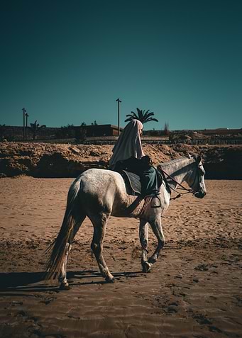 Woman riding horse on beach