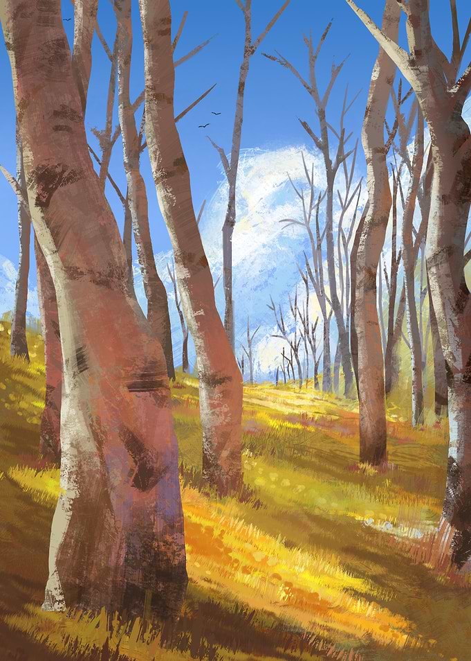 Autumnal Forest