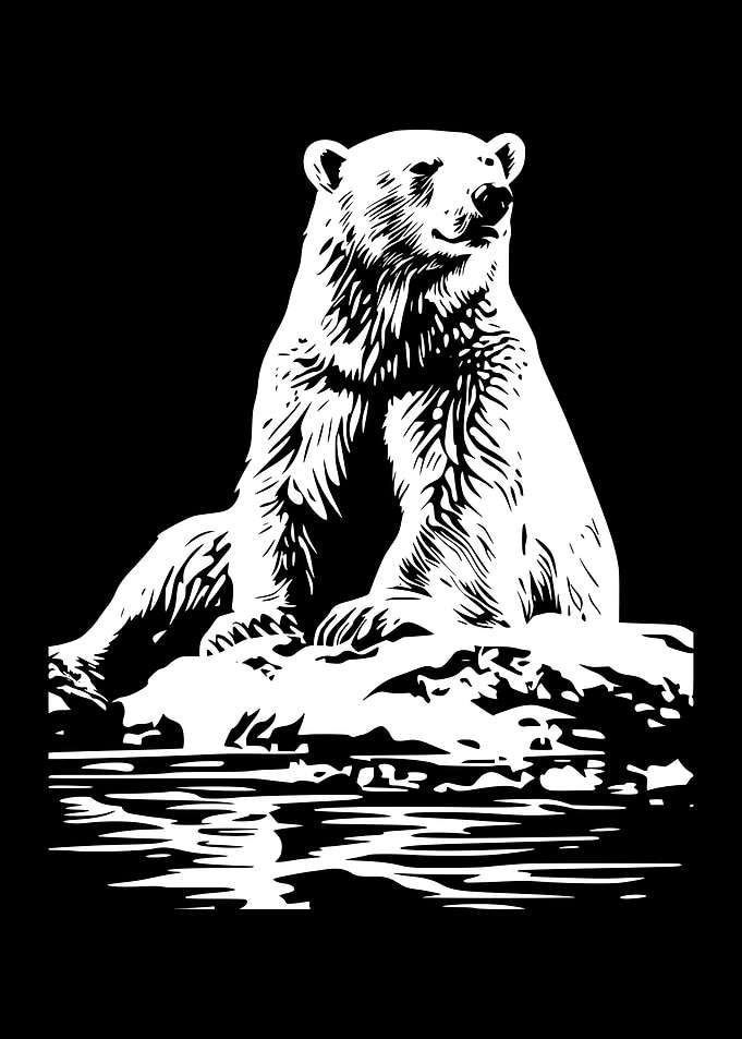Polar Bear Black and White Illustration