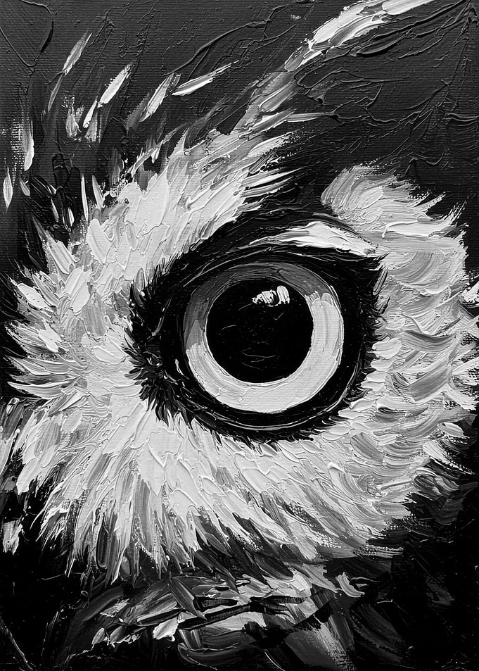 Monochrome Owl Eye Painting