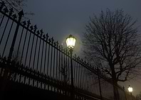 Dawn at Volksgarten