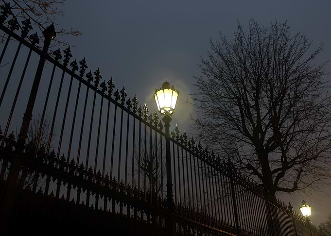 Dawn at Volksgarten