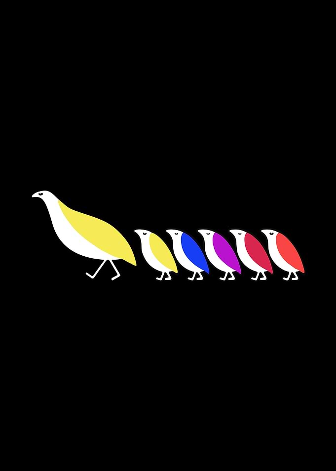 Colorful Birds in a Row