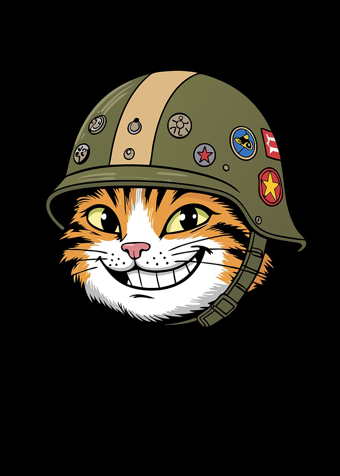 Cartoon Cat Wearing Military Helmet