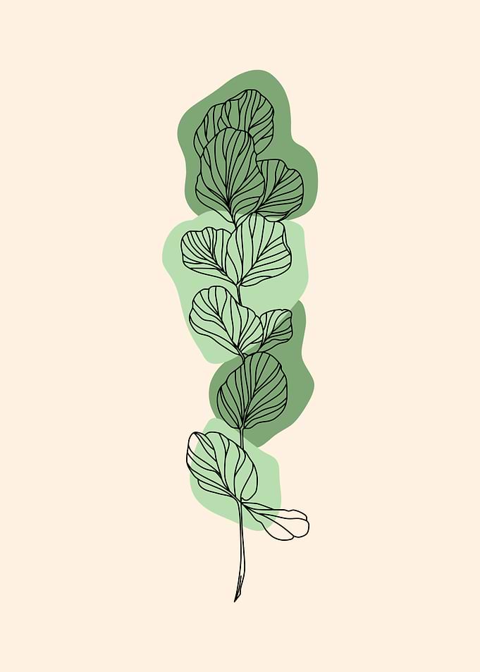 Minimalist Green Leaf Line Art
