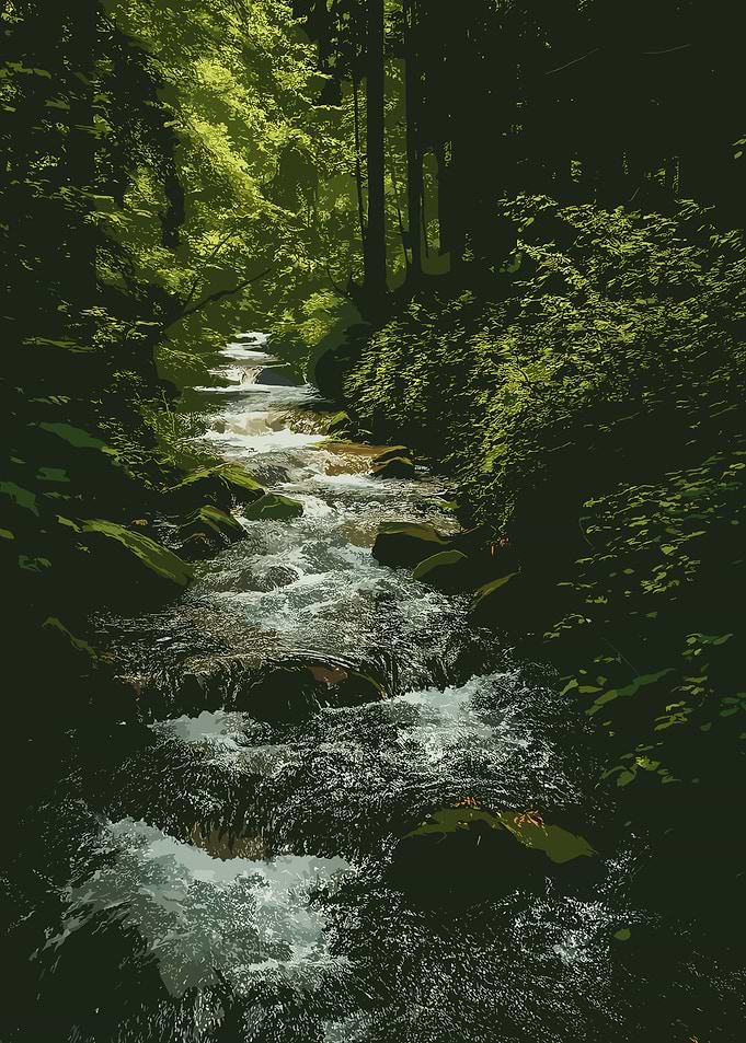 Forest Stream