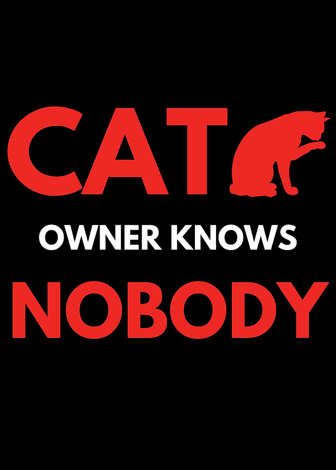 Nobody Owns a Cat Quote Cat Owner