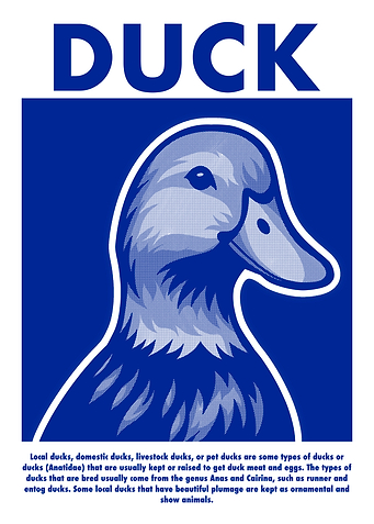 Duck Illustration in Blue and White