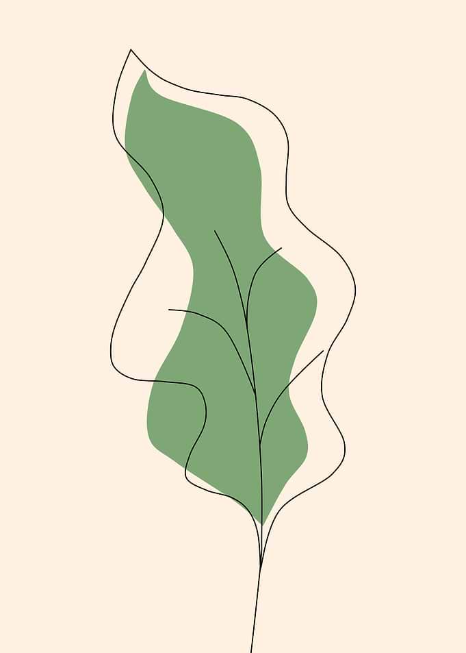 Minimalist Green Leaf Line Art