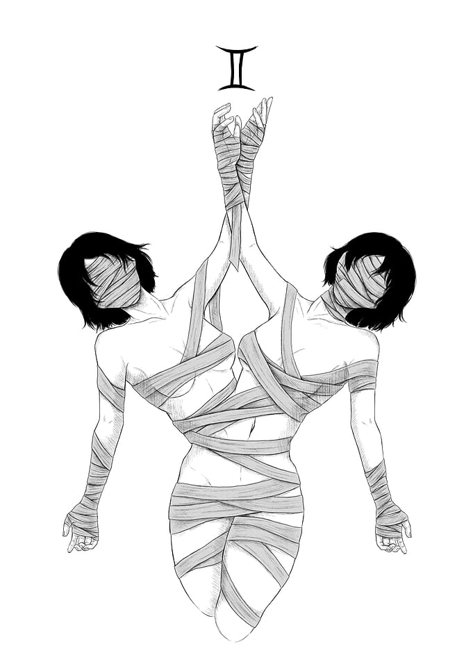 Gemini Zodiac Sign