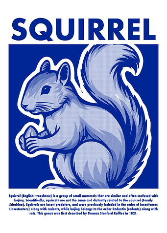 Squirrel Illustration in Blue and White