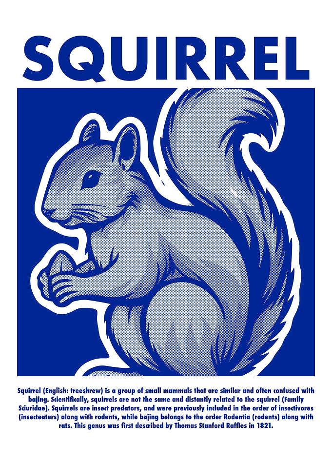 Squirrel Illustration in Blue and White