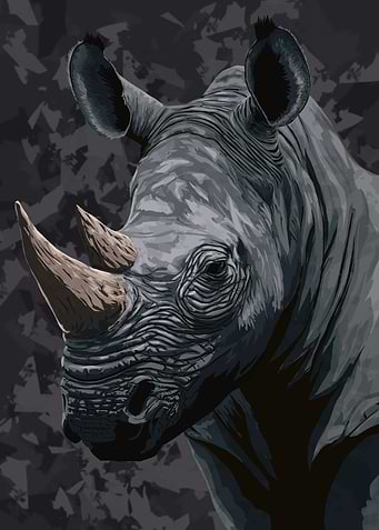 Rhino Portrait Illustration