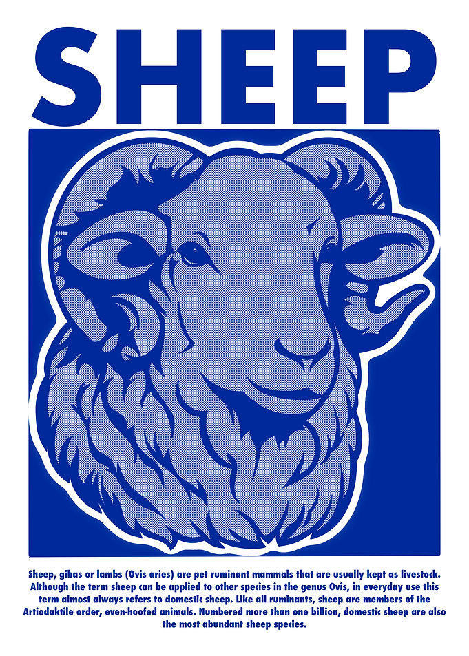 Blue Sheep Illustration