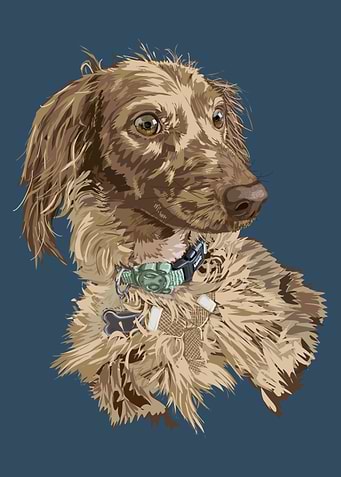 Dog Portrait with Collar on Blue