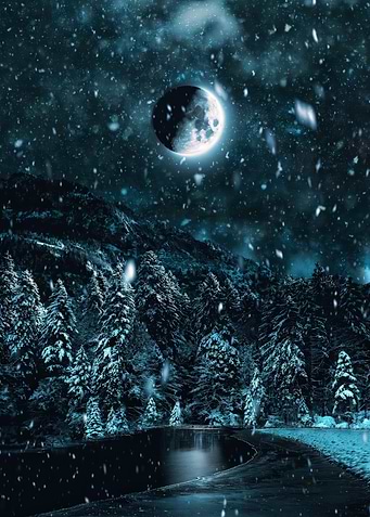 Winter Night Landscape with Moon