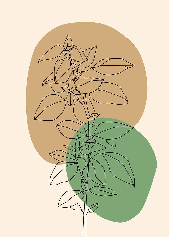 Minimalist Plant Line Art