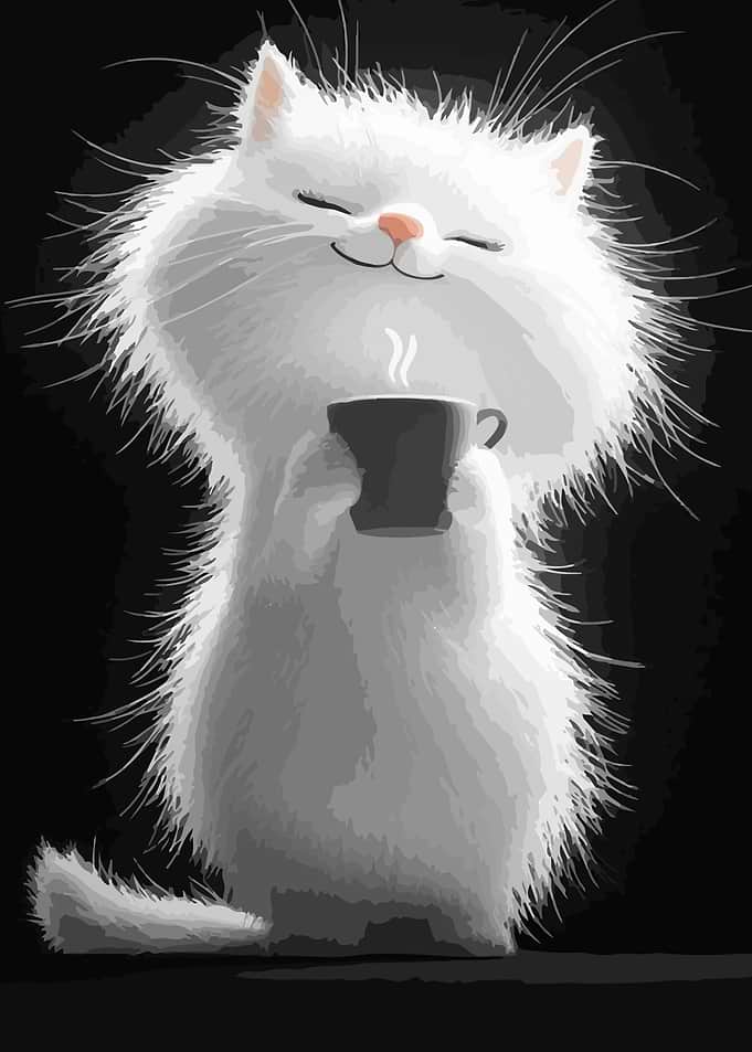 White Cat with Coffee Cup