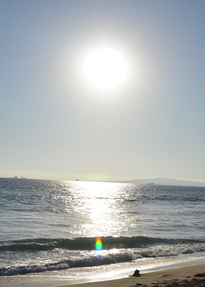 Sunlit Ocean Beach