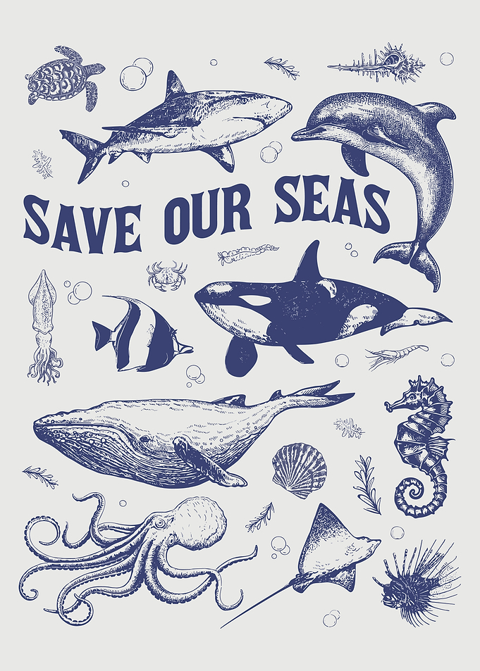 Save Our Seas Marine Life Illustration
