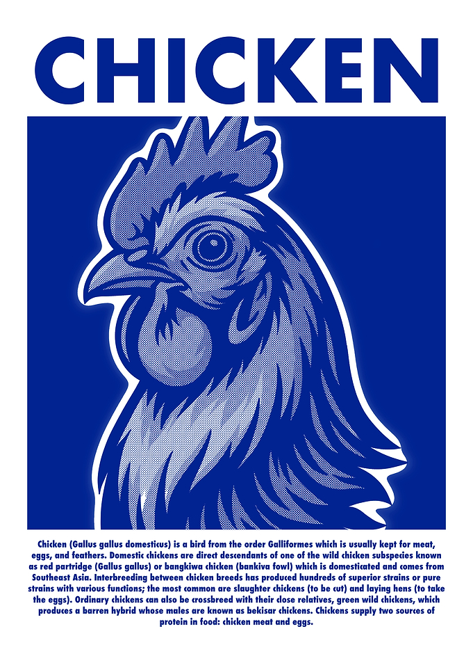 Chicken Illustration in Blue and White
