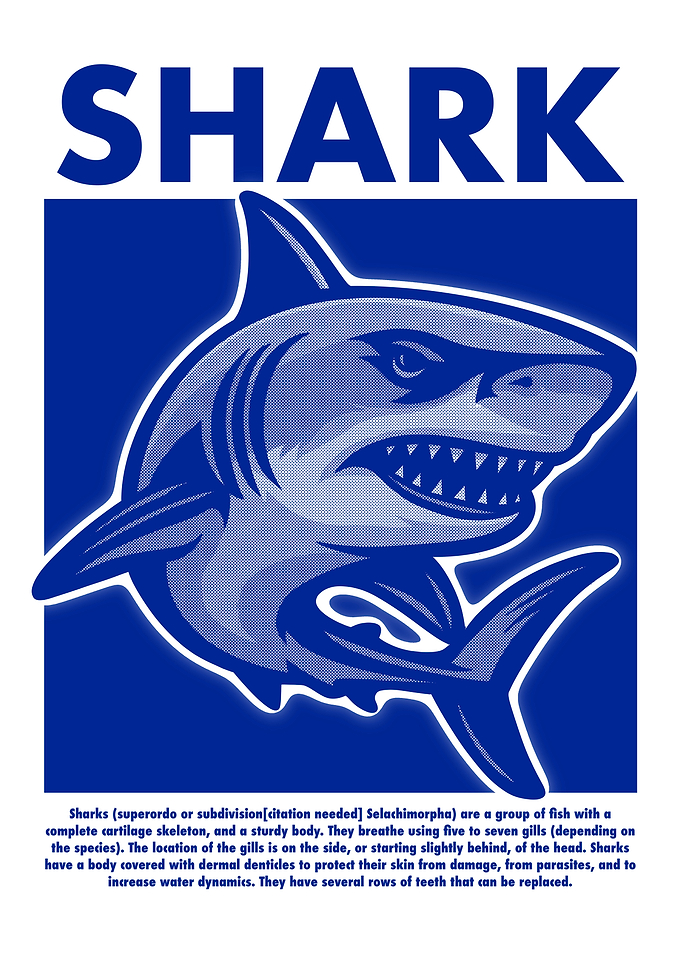 Blue Shark Illustration