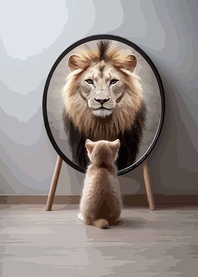 Cat looking at lion in mirror
