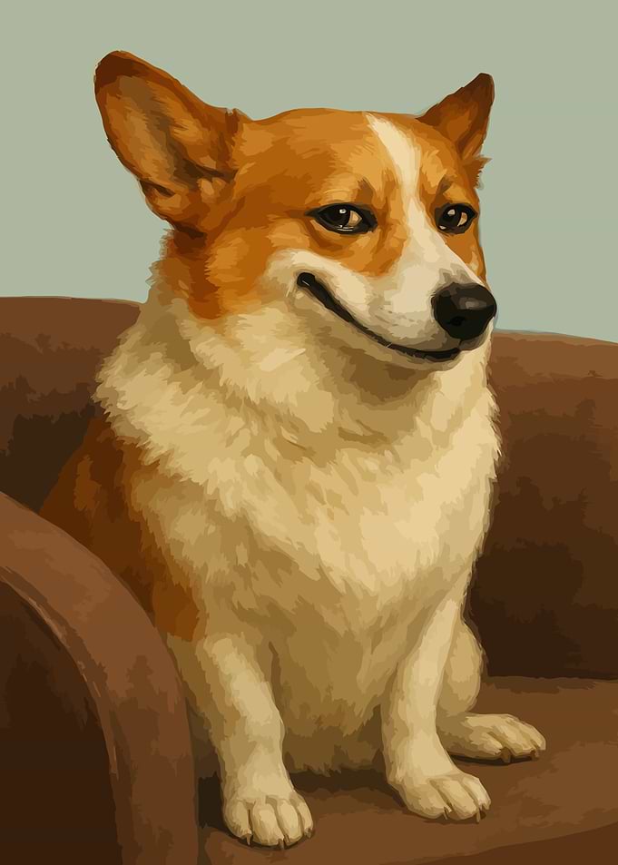 Corgi dog sitting on brown sofa