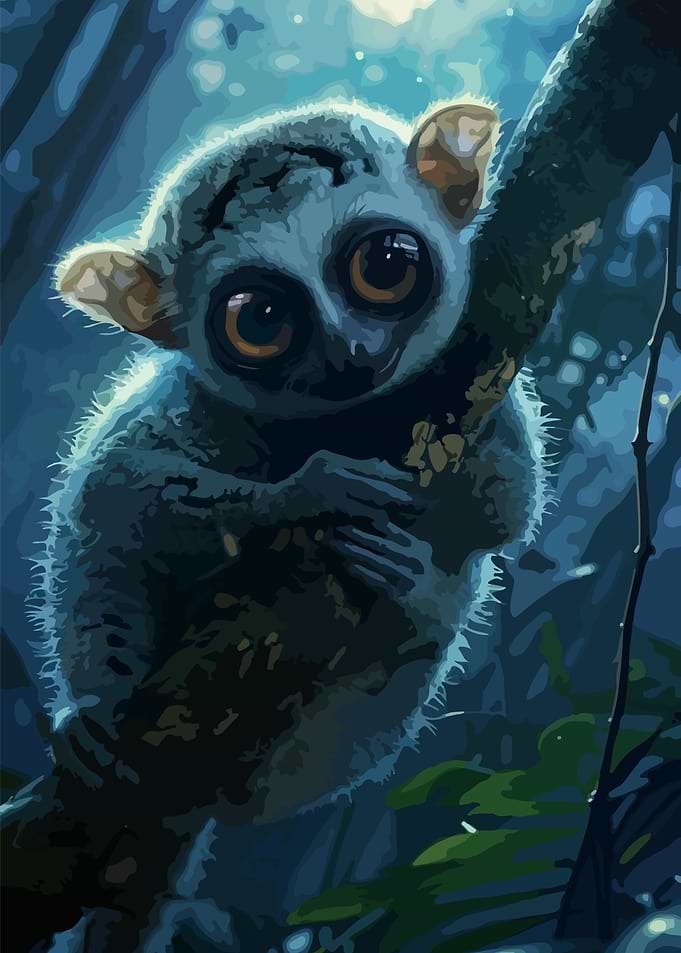 Cute Tarsier in the Jungle